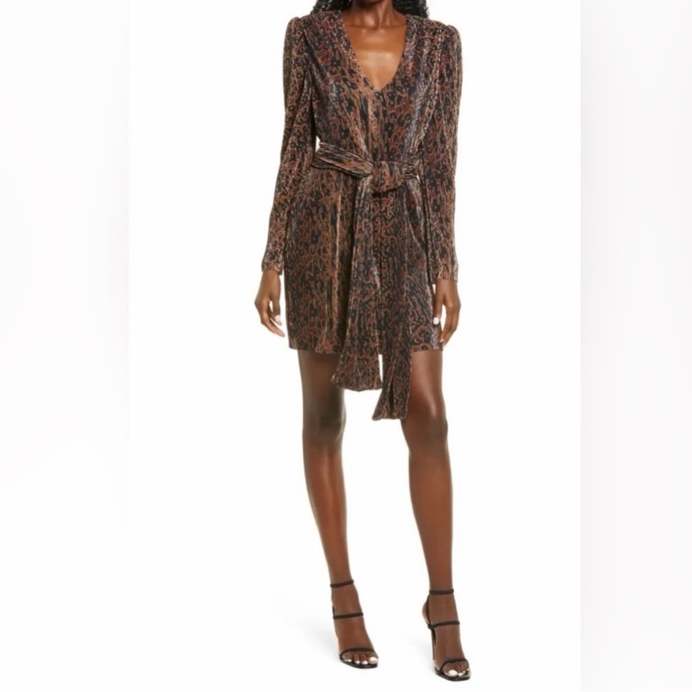WAYF Riverside Pleated Long Sleeve Animal Print Mini Dress